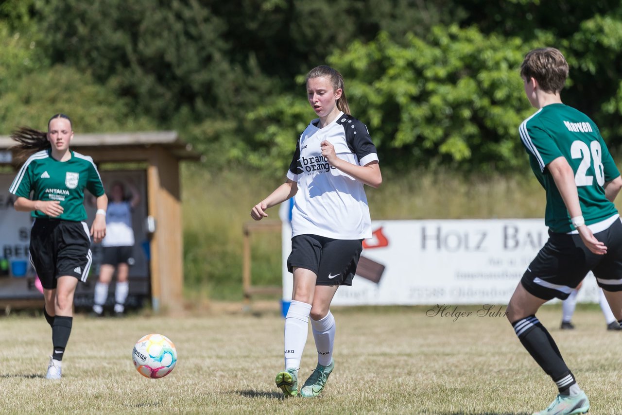 Bild 176 - wBJ TuRa Meldorf/Buesum - JFV Luebeck : Ergebnis: 1:0